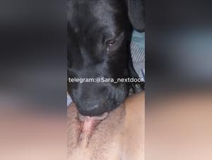 Erotic session: fuck with dog, its pleasure raw