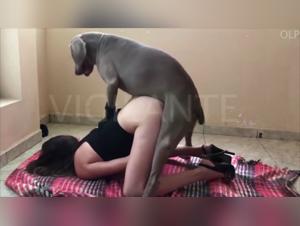 The Benefits of Bestiality