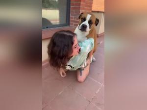 erotic animalsex story