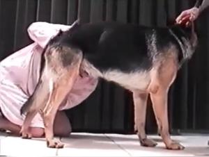 Dog sex video: Blondie GS and her four-legged friend