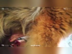 A unique beastly experience with Ariel