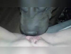 Bestial Sex Video: A Forbidden Encounter