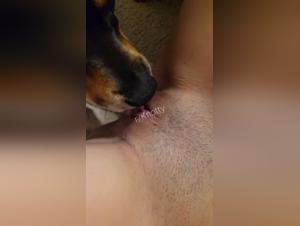 Dog Sex Video: A Hardcore Zoophilia Experience