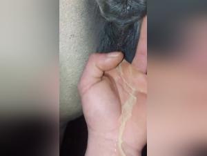 An Intense and Exciting Zoophilia Experience