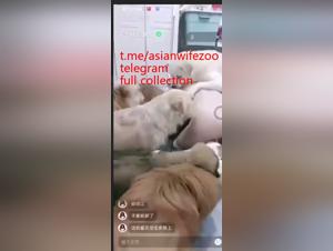 Hundekraft, unzufriedener Verlangen, asiatische Knechtschaft