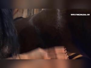 Exploration de la Bestialité: Des Relations Intimes avec des Animaux aux Pratiques Extrêmes