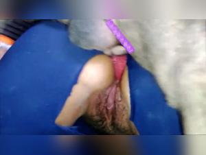 Einreichung und Tiervergnugen: Eine Tabu -Beziehung erforscht