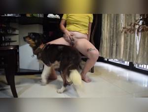 Lecken und wildes Ficken: Obszone Freuden mit einem Hund