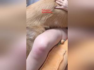 saliva canina, sottomissione degli animali e piacere - estremo
