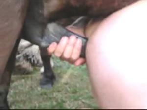 Sex Video Bestiality Zoophilia