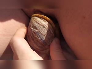 beastiegals xvideoszoo