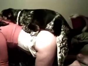 Une salope qui laisse le chien faire son tour