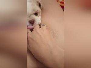 Dog sex video: don't miss it