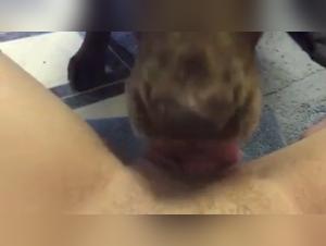 Watch this woman have fun with a dog