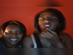 Bestiality and extreme sex video