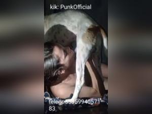 Amateur sex videos with dogs and animals