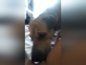 Intense zoophilia scene with a girl and her dog