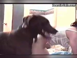 Erforschen Sie bizarre Wunsche, Union K9 ohne Hindernisse