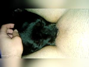 Sex with a Dog Video: Discover Bestiality