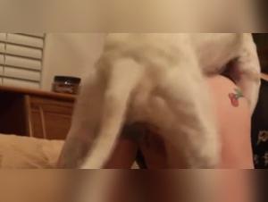 Bestiality and extreme sex: a shocking video