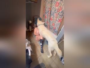 Donne ragno dedite alla bestialita: video Extreme XXX e K9
