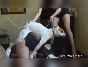 Esplora l'odissea sensuale di Danna con Mexzoo