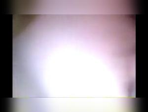 The Pure Intensity of Sex Between the Slut and Her Cat