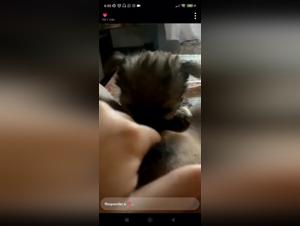 Sexy Brazilian Girl Dog Zoophilia Videos