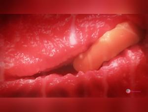 Explore the limits of pleasure in bestiality videos