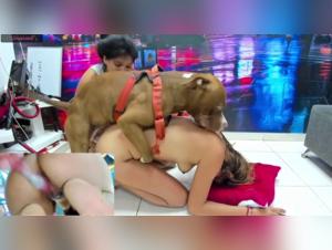 Bestial sex videos with dogs