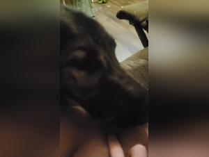 Teen sfrutta un cane potente, hardcore