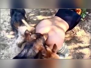Tierisches Sexleben im Rampenlicht
