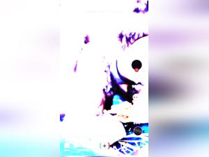 Beastsex Taboo: Reality or Forbidden Fantasy?