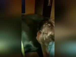 Superare i limiti: potenza canina e desiderio insaziabile