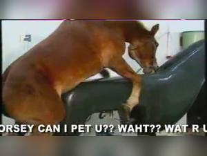 The Pleasure and Intimacy of Riding a Horse