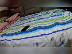 Extreme Dog Sex Videos with the Russian Team