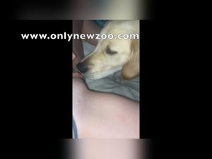 Bestiality sex video: a dog and a young girl in a shocking scene