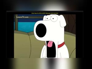 Shocking zoophilia video