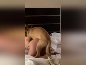 Denise Frazier: The Icon of Sensual Tiersex