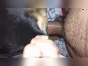 Discover the extreme pleasures of bestiality with this submissive slut and her dog