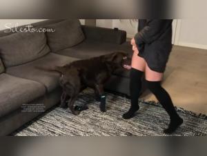 Extreme Bestiality and Dog Sex Videos