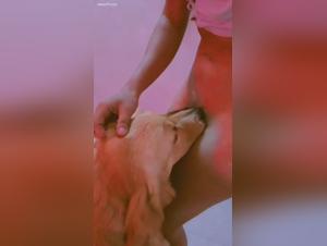 pity for morality, emulation of animal desire