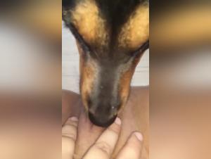 Une expérience de zoophilie extrême