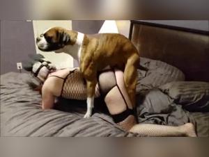 Explore the Limits of Zoophilia