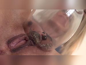 Women and animals in extreme scenes