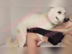 Discover the latest zoophilia videos with EVVA RAVEN and her dog