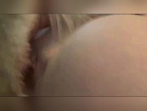Cassey Roxys Obsession: Eine verbotene und unwiderstehliche Liebe zu Hunden