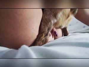Zoophilia video: A woman and her dog