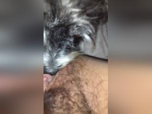 Watch this dog sex video