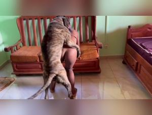 An Unforgettable Sex Experience with a Dog